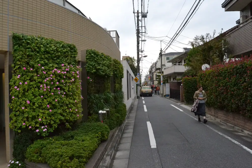 Улица в Токио, Япония