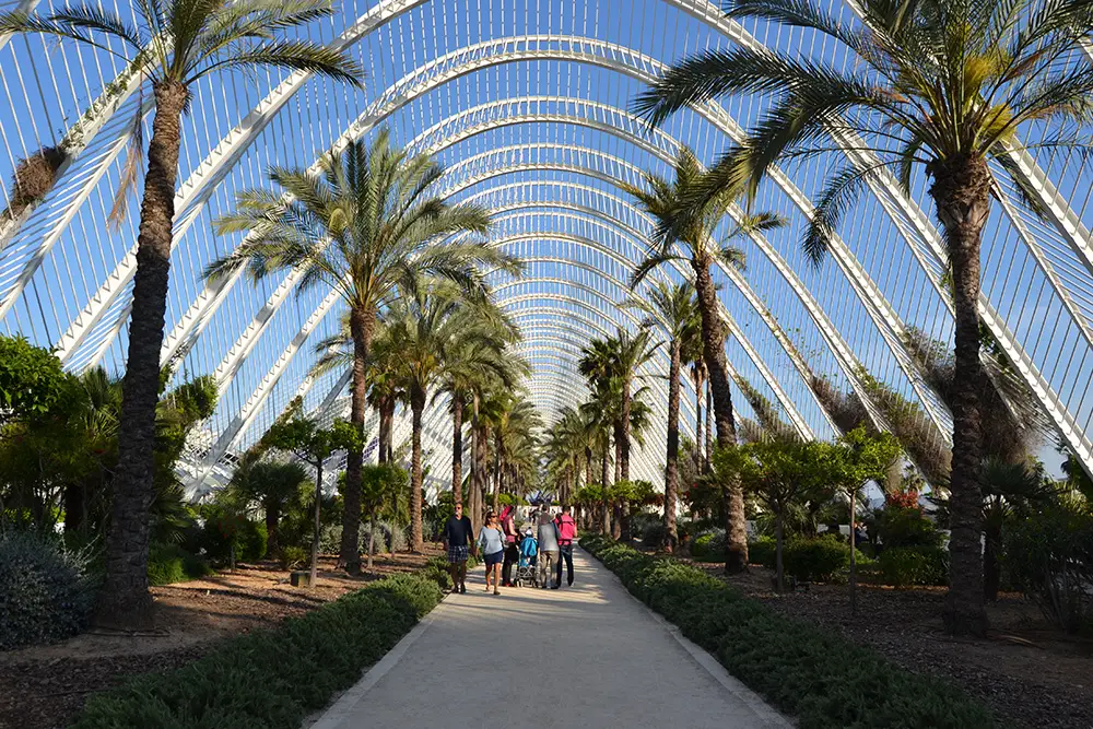 Is Valencia worth visiting - Botanical garden (L’Umbracle)