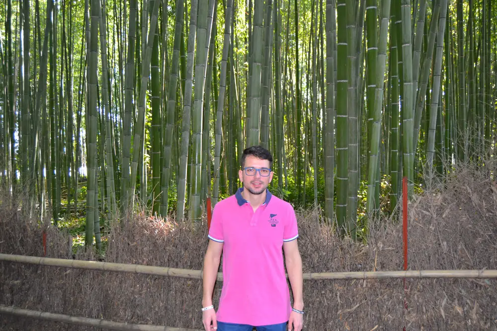 Бамбуковата гора в Киото
