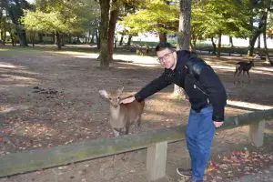 Паркът на сърничките в Нара