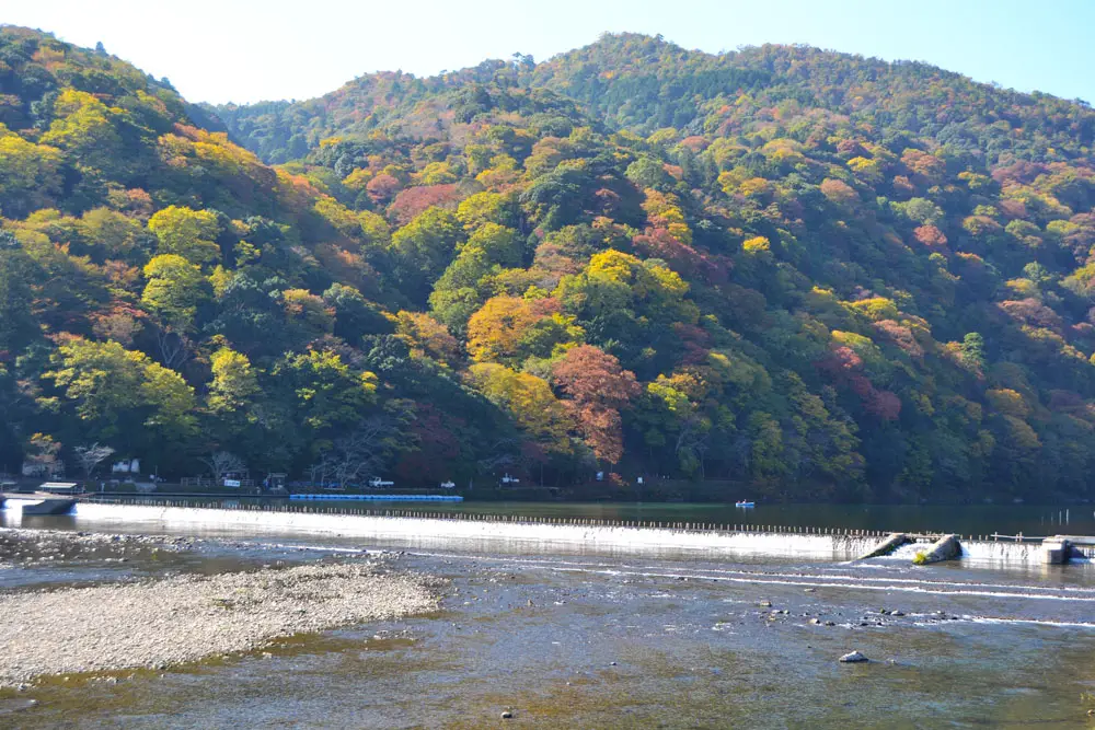 Гледка към пъстроцветната гора от моста Тогецукио в Арашияма, Киото