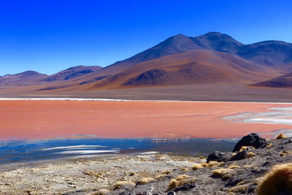 Laguna Colorada (Red Lagoon) in Bolivia