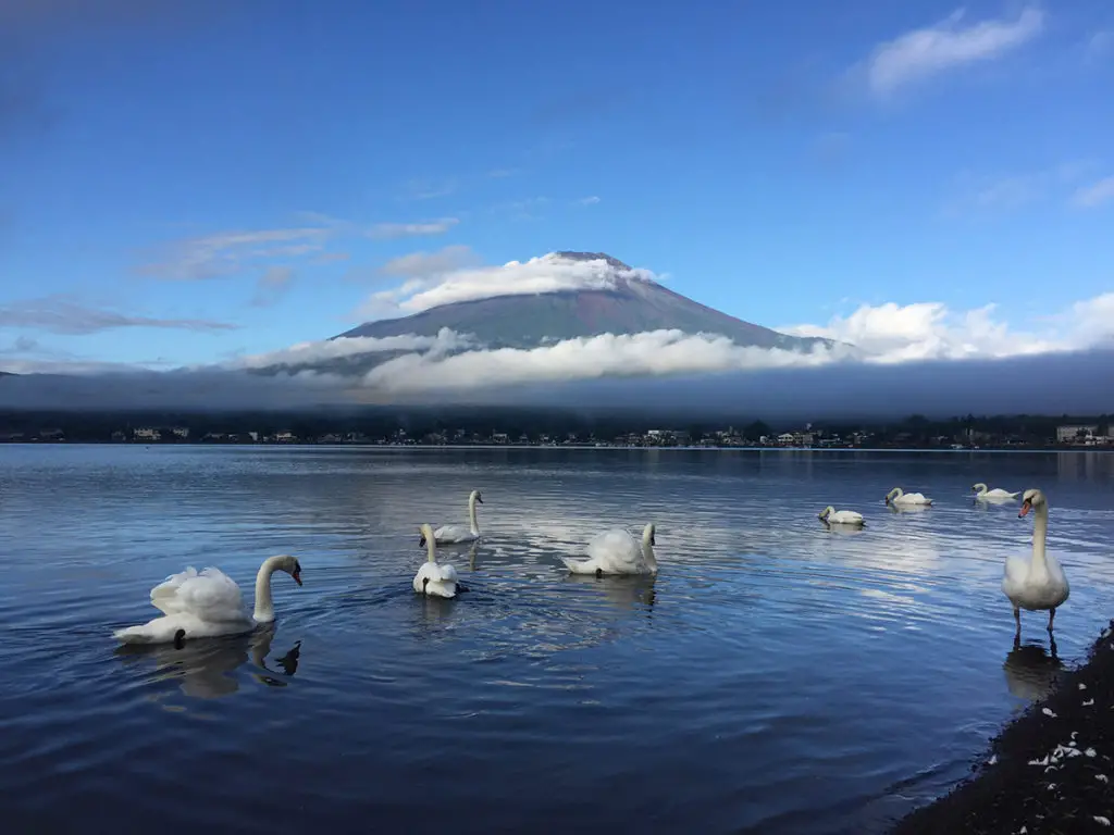 Mount Fuji