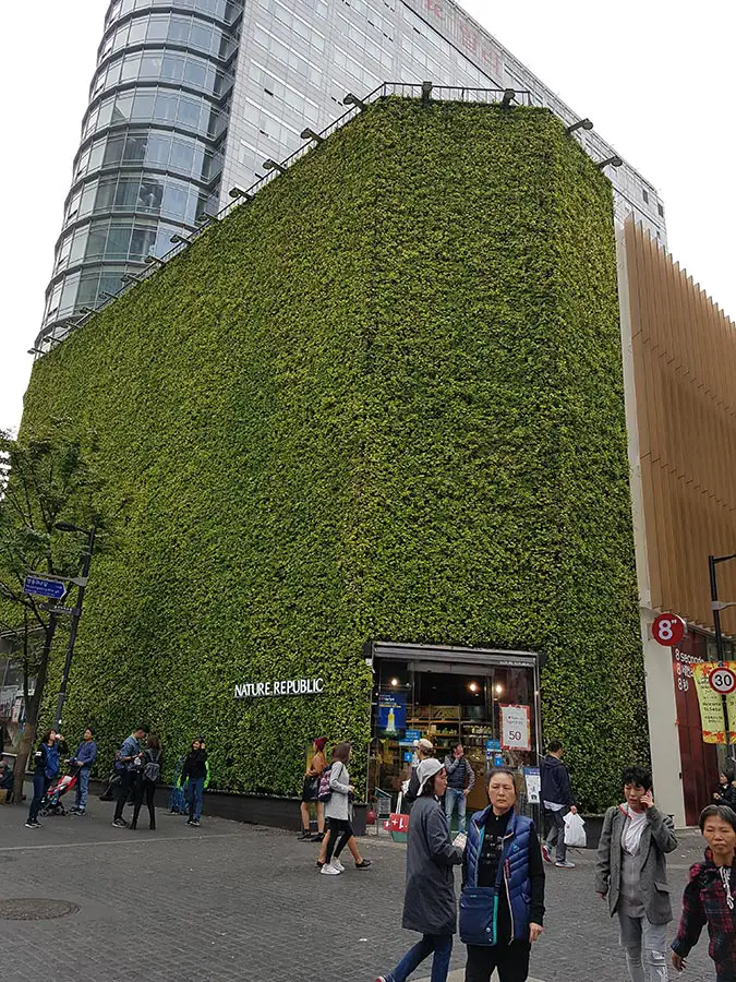 Myeongdong Shopping Street