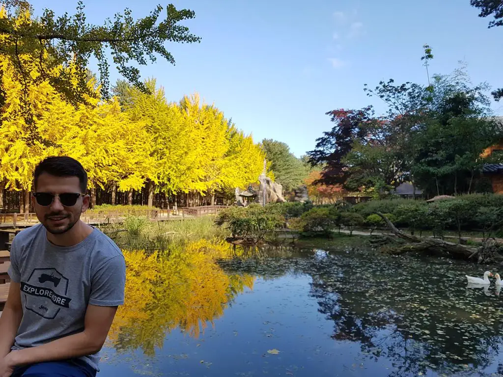 Things to Do in Nami Island