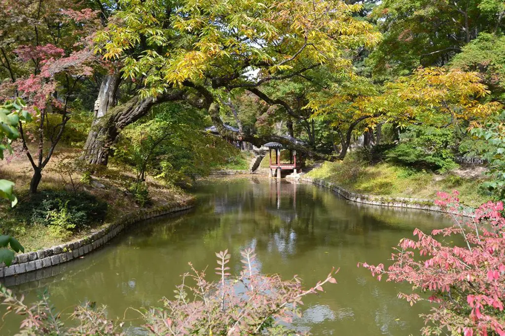 The secret garden of the Changdeokgung Palace