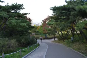 Парк Намсан в Сеул