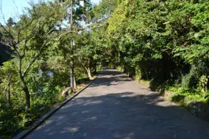 Пътека в парк Cheonjiyeon Falls