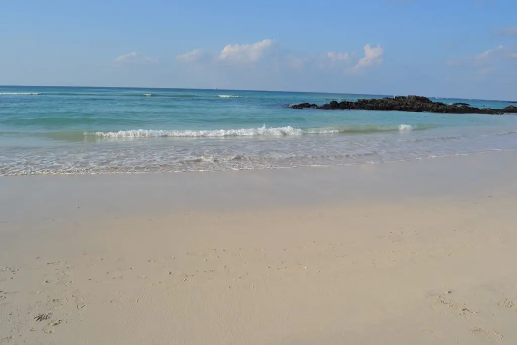 Gimnyeong Songsegi Beach