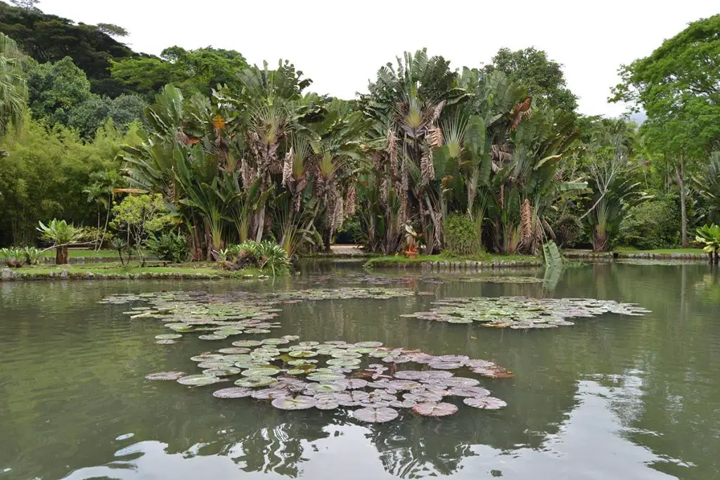 Lago Frei Leandro