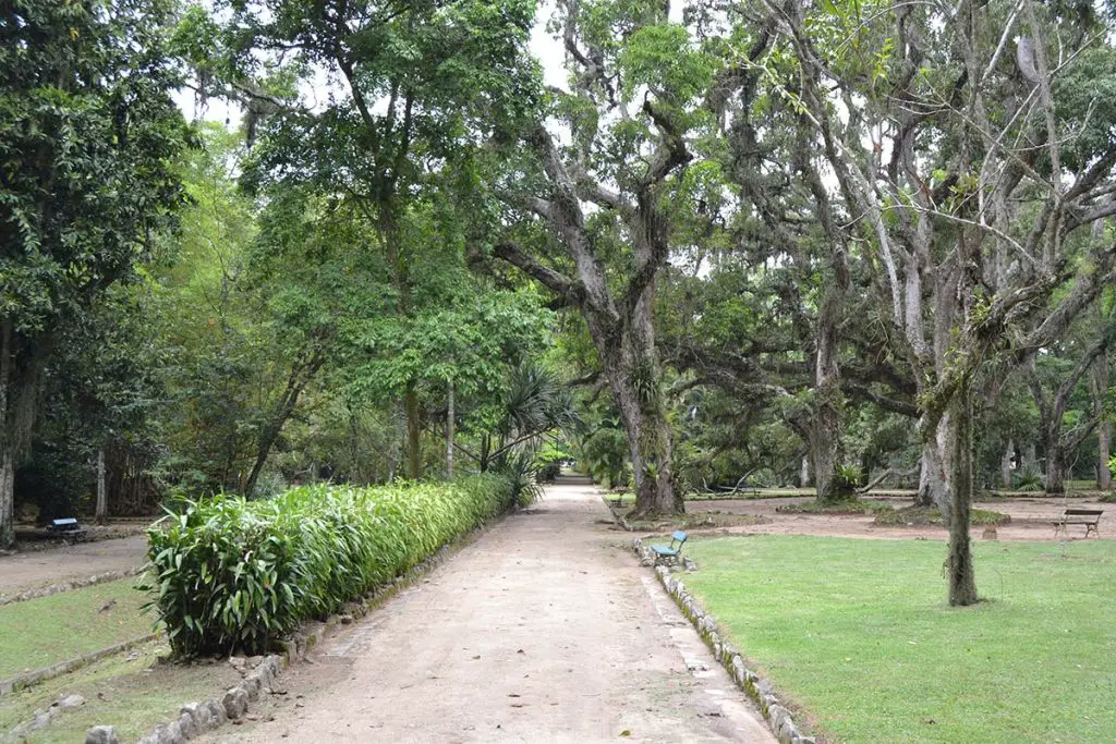 Ботаническата градина в Рио де Жанейро 