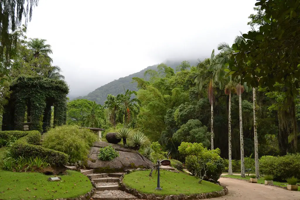 Rio de Janeiro Botanical Garden