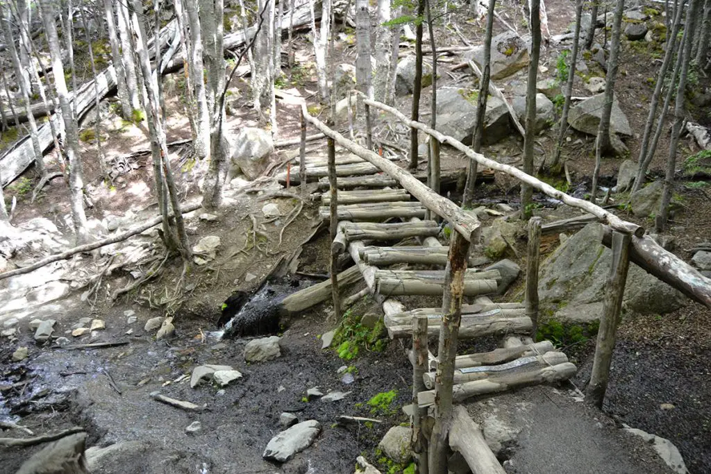 A small wooden bridge in Torres del Paine National Park