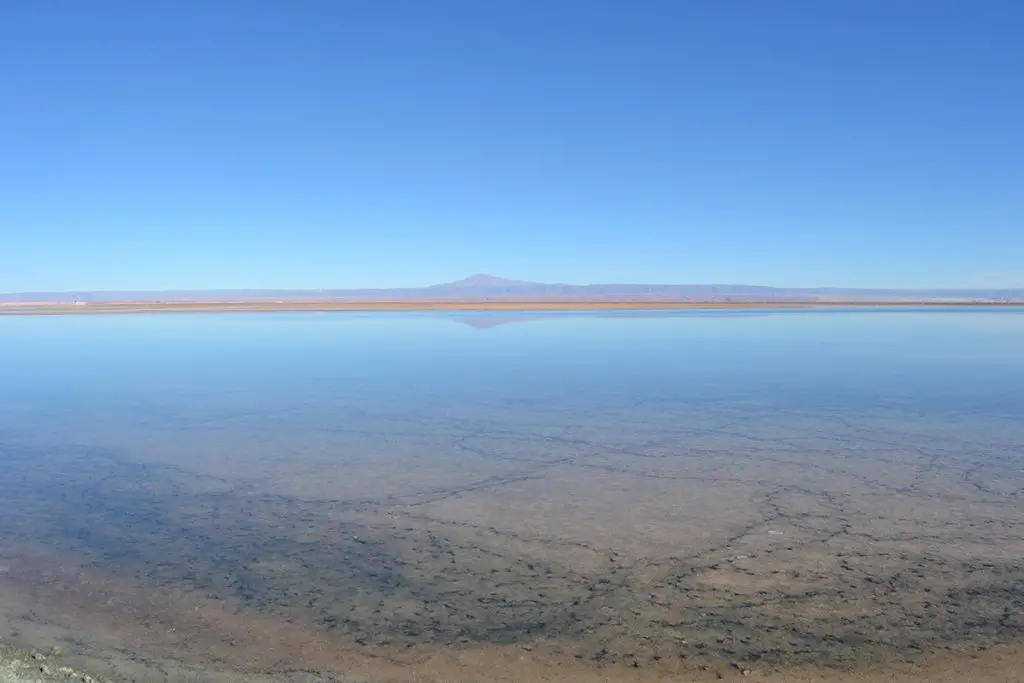 Laguna Chaxa