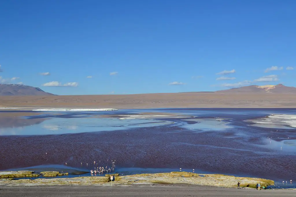 Laguna Colorada