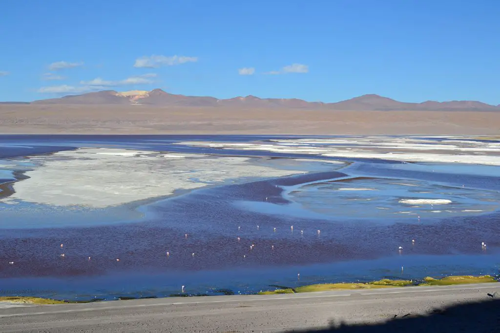 Laguna Colorada