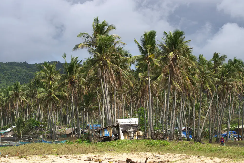 Nacpan Beach