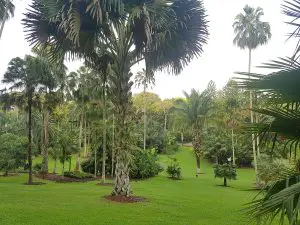 Ботаническата градина в Сингапур