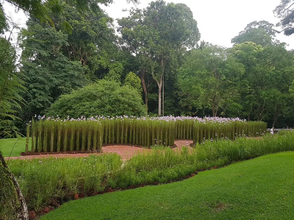 2 days in Singapore itinerary - Botanic Gardens