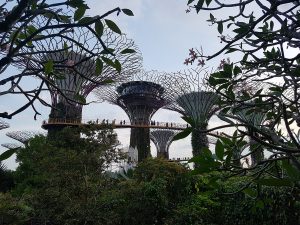 Супердърветата в Сингапуре