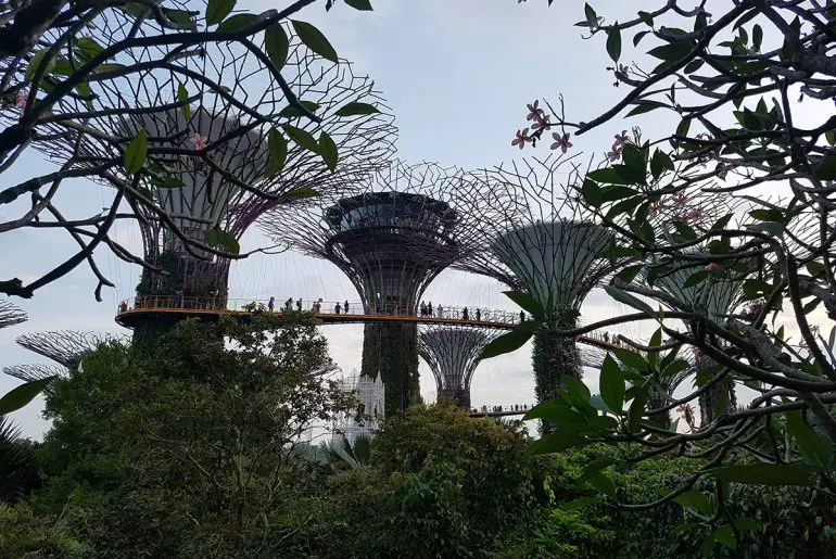 Супердърветата в Сингапуре