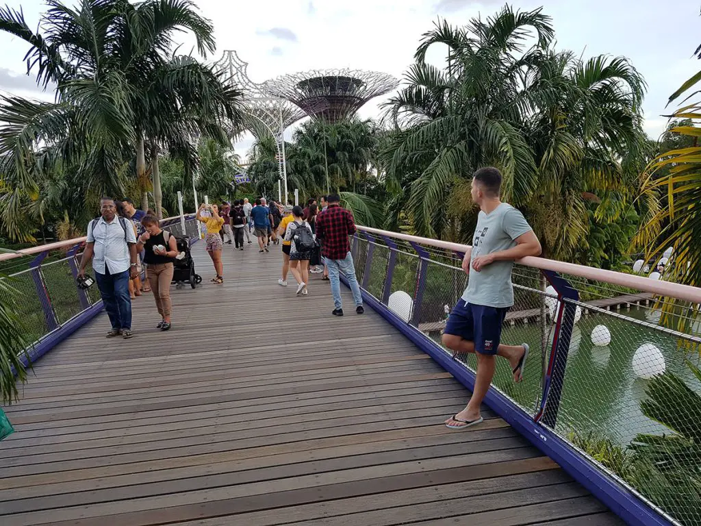 2 days in Singapore itinerary - The Gardens by the Bay