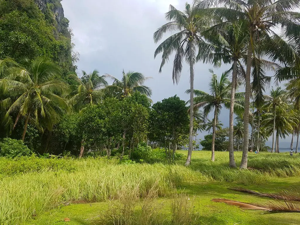 Pinagbuyutan Island, El Nido Island Hopping Tour