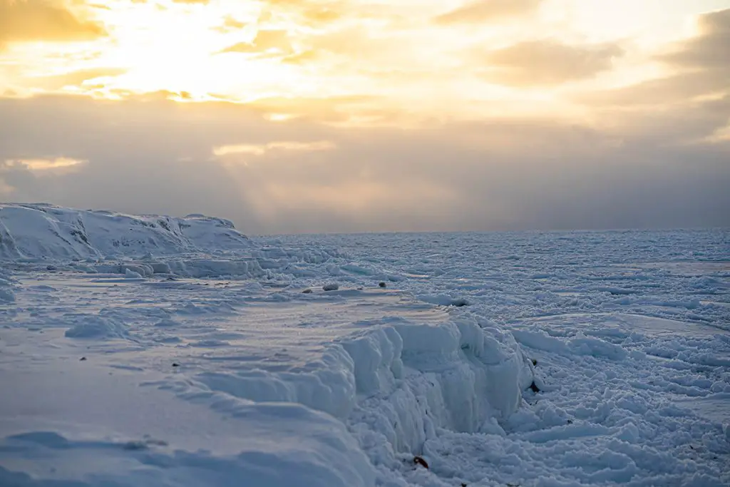 Bjørndalen (Svalbard)