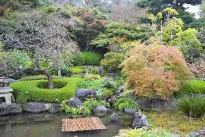 Градината в Хаседера в Камакура