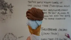 Савини - сладолед
