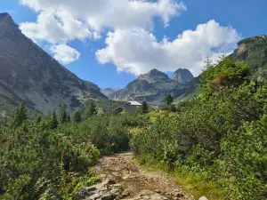 Хижа Мальовица и връх Мальовица
