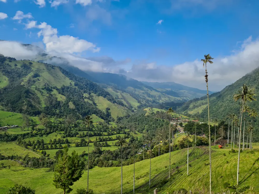 Cocora Valley, Salento, Colombia