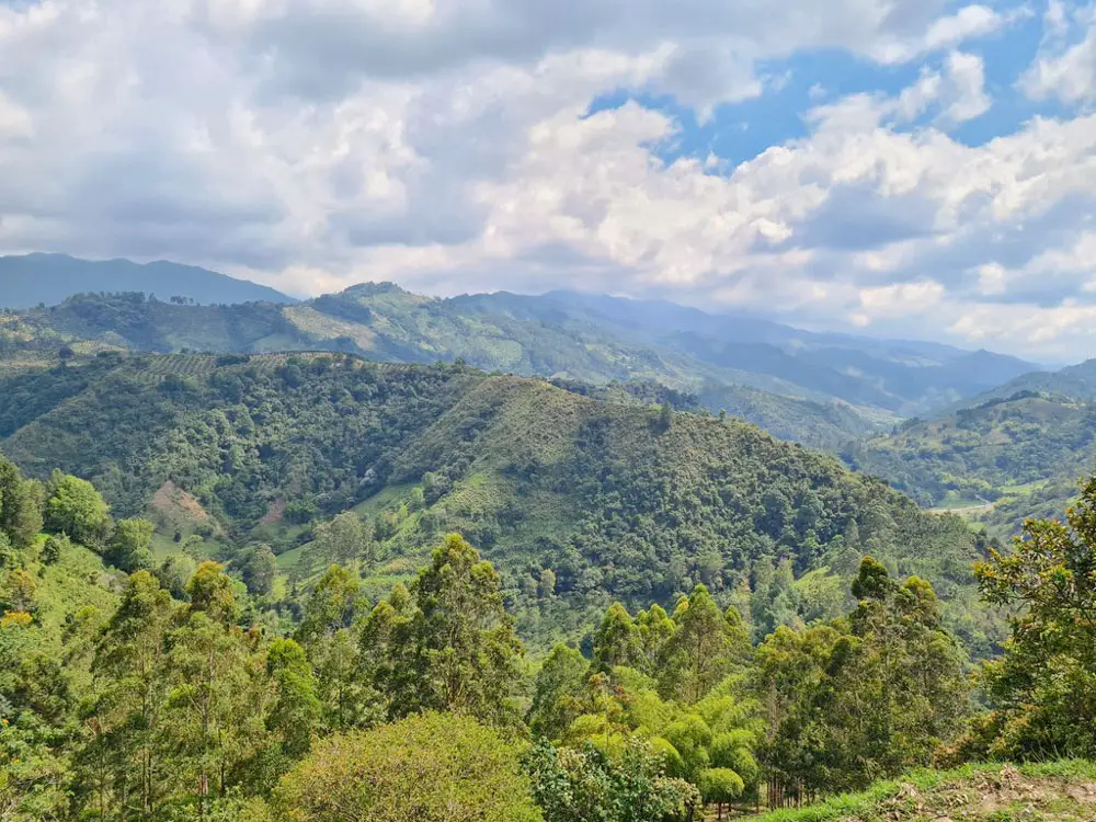 Landscape near Salento, Colombia