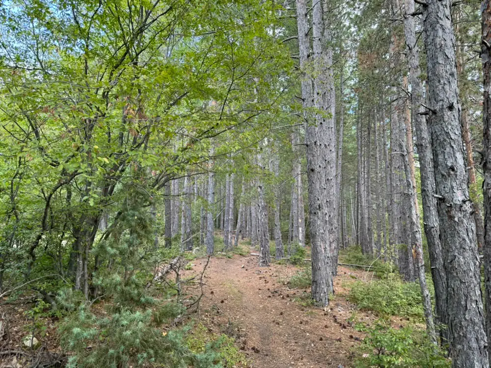 Екопътека Райски изглед